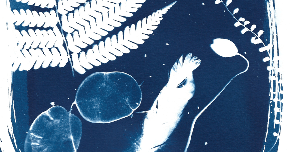 Iniziare con la&nbsp;cianotipia